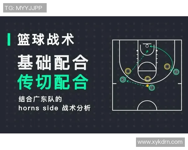 CBA球队战术体系创新及表现评价